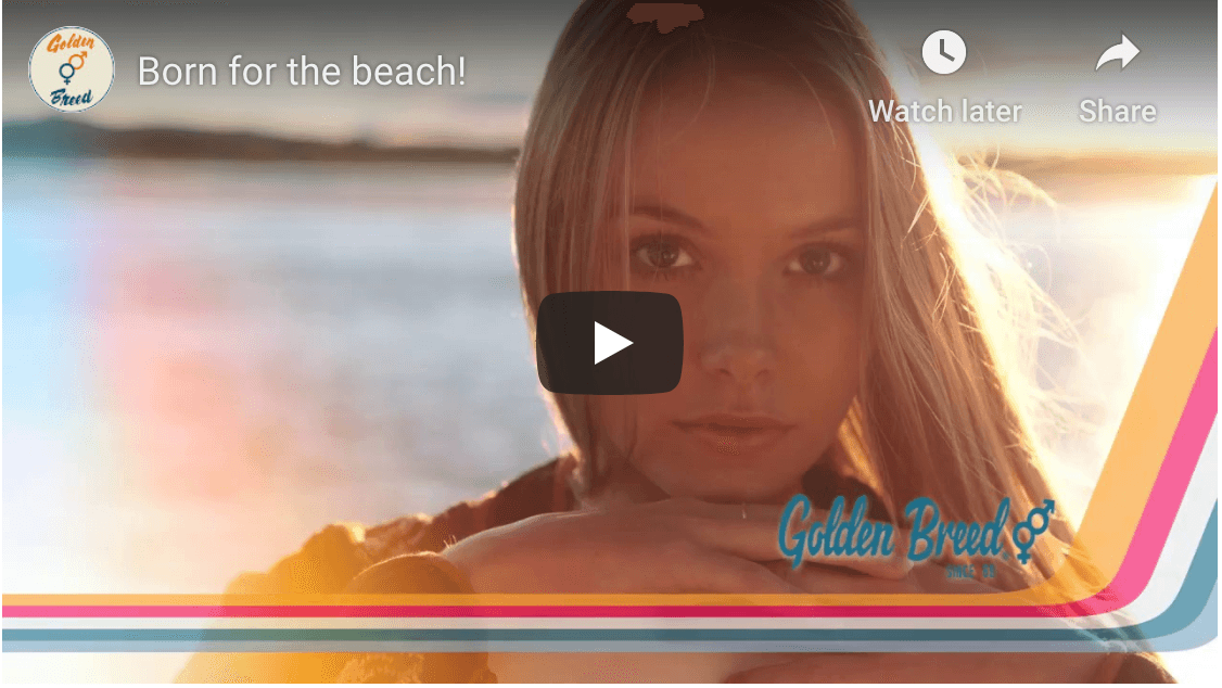 A little video from the archive! - Golden Breed